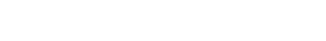 The Humanity Flag logo